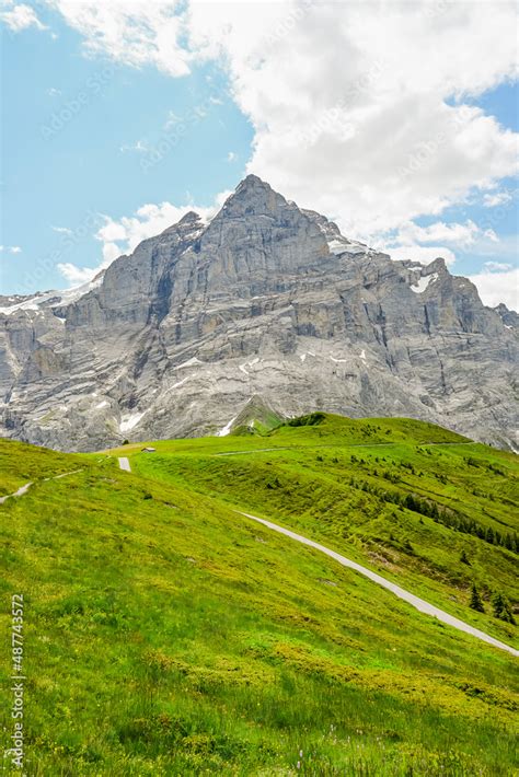 Grindelwald Wetterhorn Grosse Scheidegg Wellhorn Gistellihorn