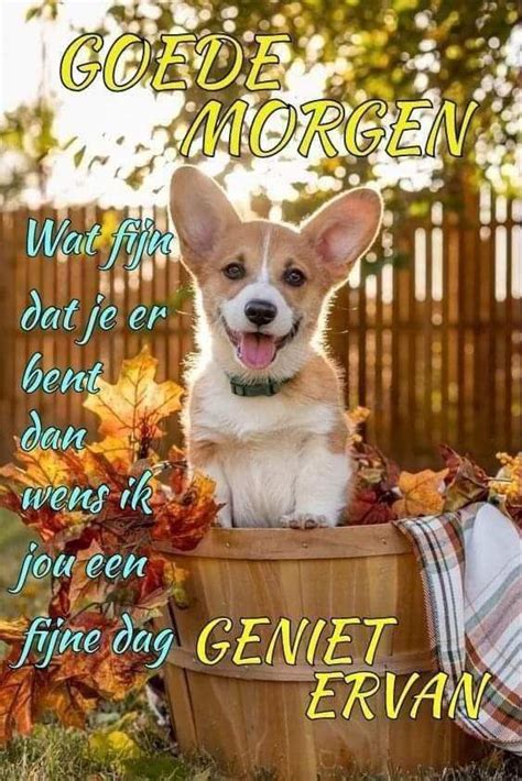 Goede Morgen Linda