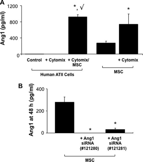 Angiopoietin 1 Secretion By Human Allogeneic Mesenchymal Stem Sells A