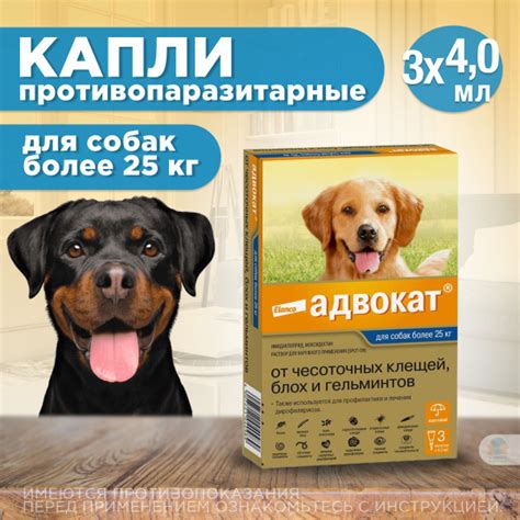 Капли на холку против блох, клещей и круглых гельминтов Elanco Адвокат ...
