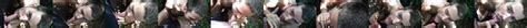 All Amateur Rest Room Gloryhole Outdoor Cs Comp Gay XHamster