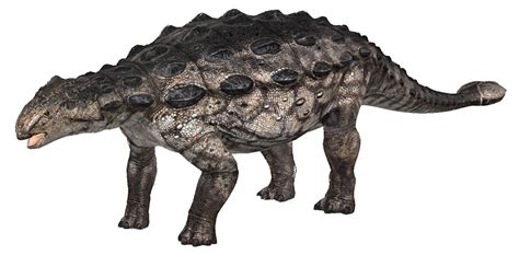 Ankylosaurus Facts, Habitat, Diet, Fossils, Pictures