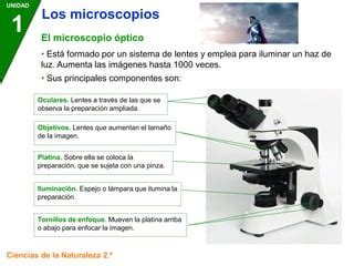 Microscopio Pdf