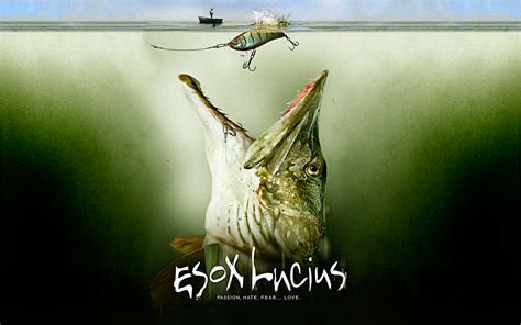 Esox Lucius - Pike by Lord-Iluvatar on DeviantArt