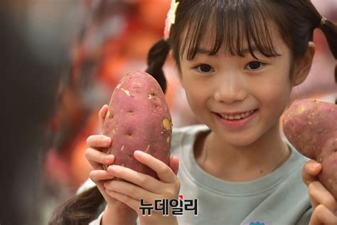 포토 농가돕기 나선 이마트 해남 못난이 왕고구마 들여가세요 Save Internet 뉴데일리