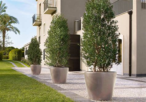 Lechuza CLASSICO Large Tree Planters (Lechuza CLASSICO 60, White)