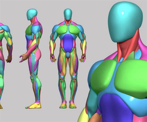 Artstation Male Anatomy Base Mesh Resources