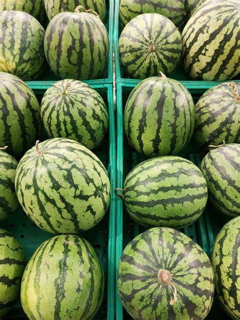 Aguas Frescas La Riqueza L Quida Del Campo De M Xico Para Las Fiestas