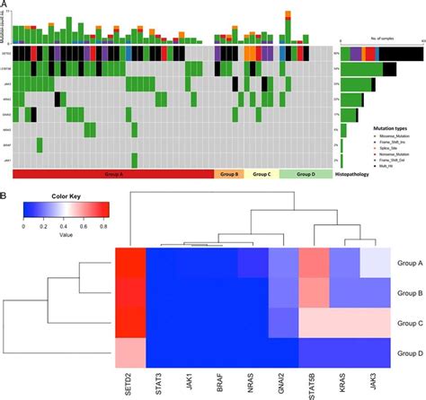 The Mutational Profiles And Hierarchical Clustering Analysis Of