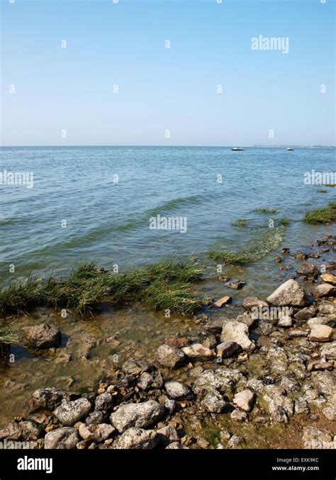 Taganrog bay in Azov sea near the Taganrog city, Russia Stock Photo - Alamy