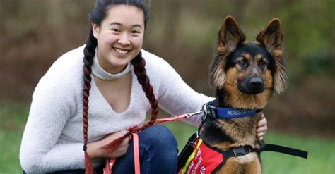 Chien sauve la vie de sa maîtresse lors d un incendie Incroyable