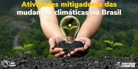 Mitigação Das Mudanças Climáticas No Brasil Atividades E Ações