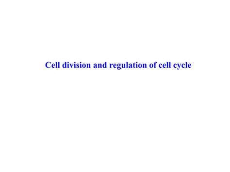 Regulation Of Cell Cycle And Cell Division Ppt Pptx