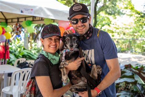 Medellín ahora cuenta con una Ruta Urgente de Búsqueda de animales