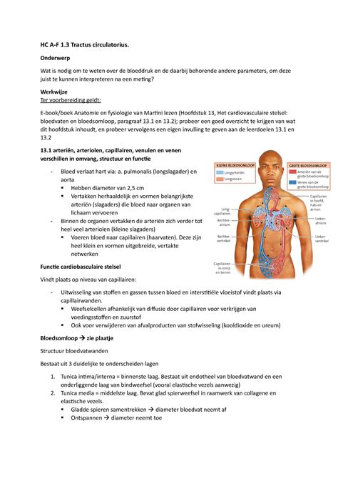 HC 1 3 Tractus Circulatorius HC A F 1 Tractus Circulatorius