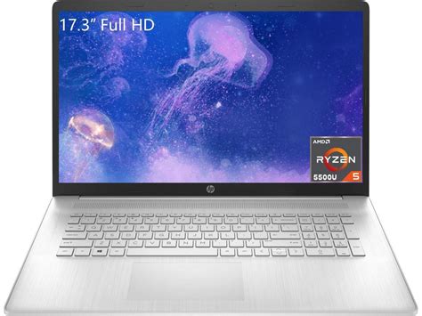 "HP 17.3"" 17 Laptop, FHD IPS Display, AMD Ryzen 5 5500U, 128GB RAM ...