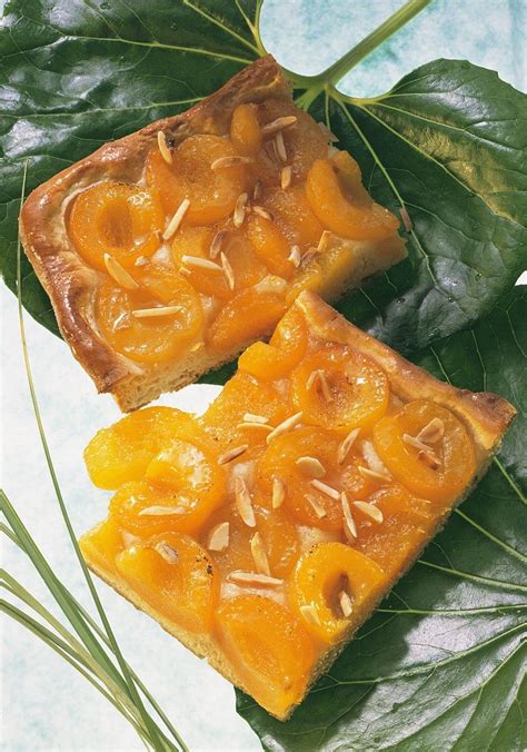 Apricot Tart Recipe Eat Smarter USA