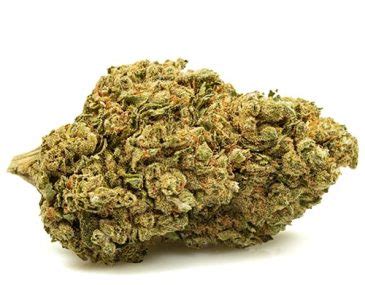 Justbob Venta Online De Marihuana Cbd De Alta Calidad