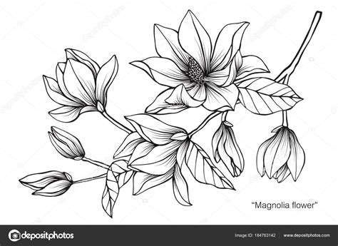 Image De Fleur Dessin Fleurs En Noir Et Blanc