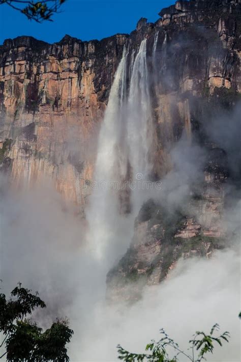 Angel Falls Salto Angel stock photo. Image of amazing - 132286480