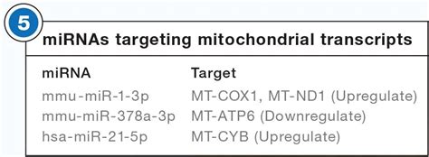 你不知道的microrna的7种非常规分子机制