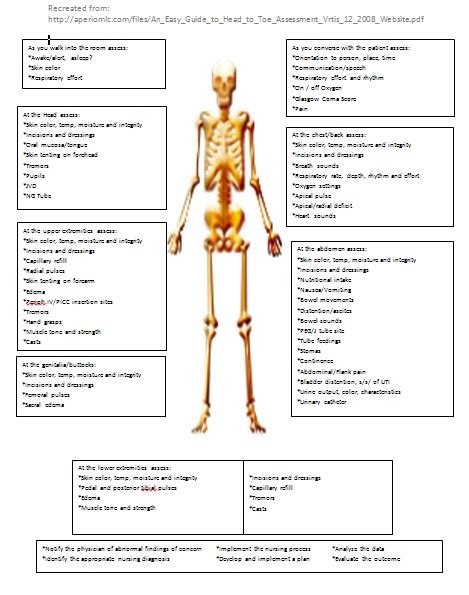 Printable Head To Toe Assessment Cheat Sheet Portal Tutorials