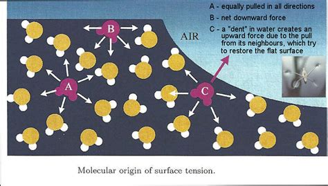 Molecules