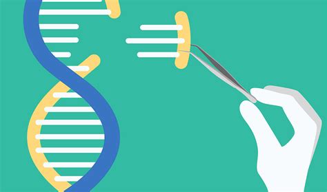 Aplican La Edición Genómica Para El Tratamiento De Pacientes Mediante Terapia Génica Biotech Spain