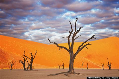 Deadvlei Is The Most Beautiful Dead Place You Will Ever See Huffpost