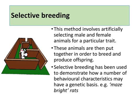 The Biological Approach Ppt Download