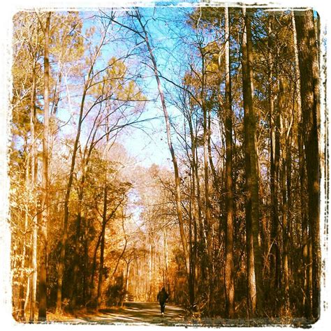 Cape Fear River Trail - Hiking - Fayetteville, NC - Reviews - Photos - Yelp