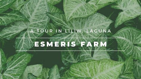 Going To Esmeris Farm In Liliw Laguna Reign Mandap Youtube