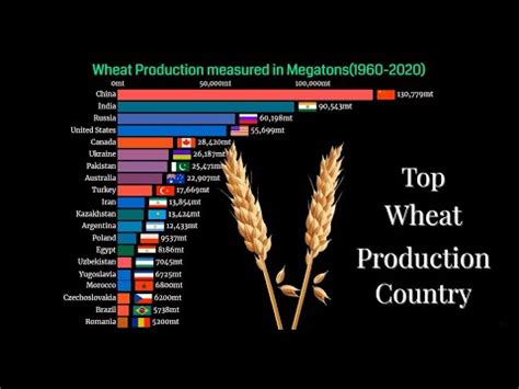 Top Wheat Producing Countries In The World Youtube