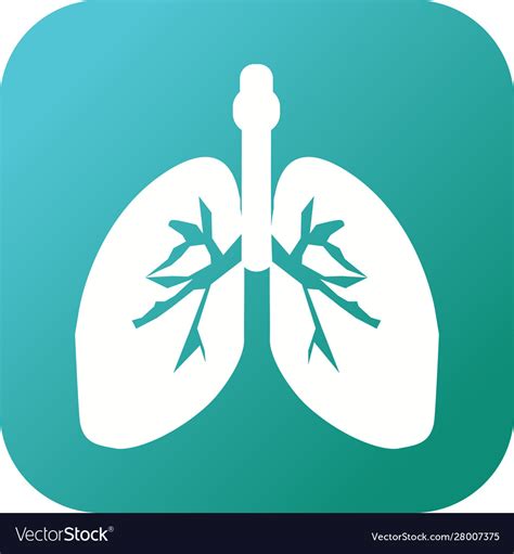 Beautiful Lungs Glyph Icon Royalty Free Vector Image