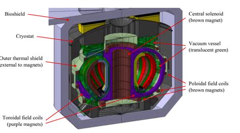 Tokamak Fusion Reactors