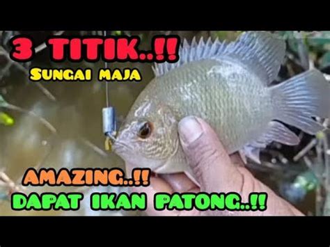 CUKUP 3 TITIK DI SUNGAI MAJAKUDAPAT KAN SENSASI NYA YouTube