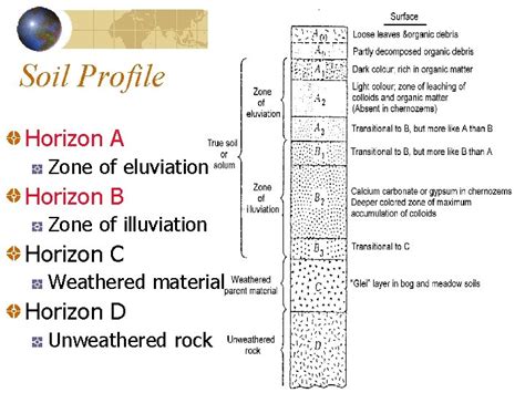 Soil and Soil Forming Processes By HO Puising