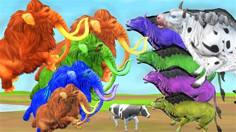 10 Zombie Bulls Vs 10 Zombie Mammoths Fight For Cow Cartoon Saved By