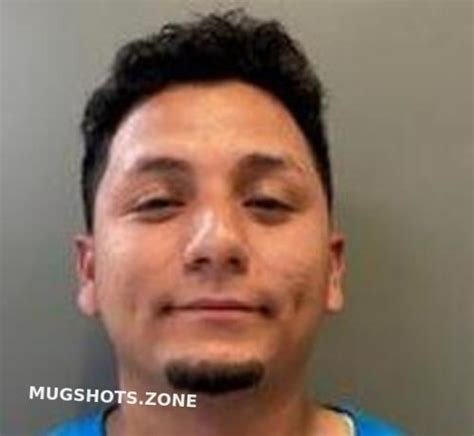 Ronaldo Perez Morgan County Mugshots Zone