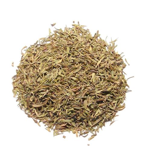 Thyme Herbs At Rs 330kilogram Pradipdada Nagar Jalgaon Id