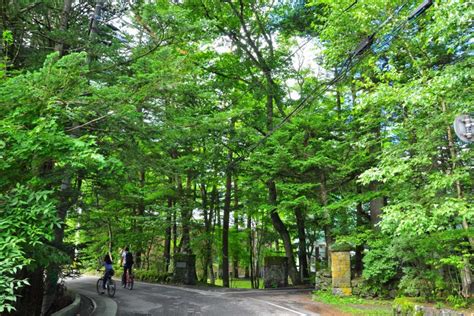 東京近郊人氣輕旅行！輕井澤單車一日遊必訪4大景點｜絕景日本