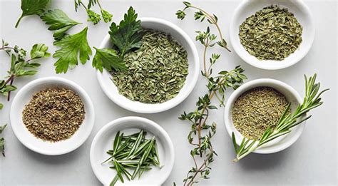 The Truth About Using Herbs For Lucid Dreaming Awaken To Lucid Dreams