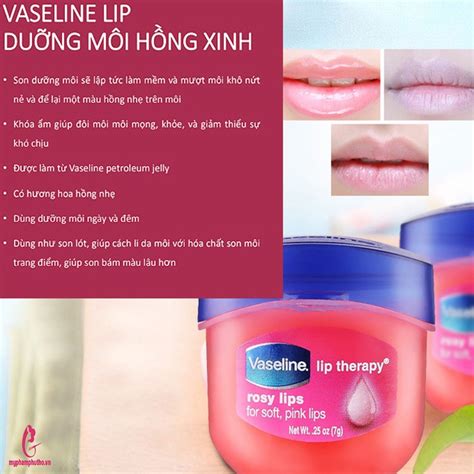 Công Dụng Của Vaseline Hồng Bí Quyết Chăm Sóc Da Toàn Diện