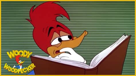 Woody Woodpecker International Woodpecker Full Episodes Youtube