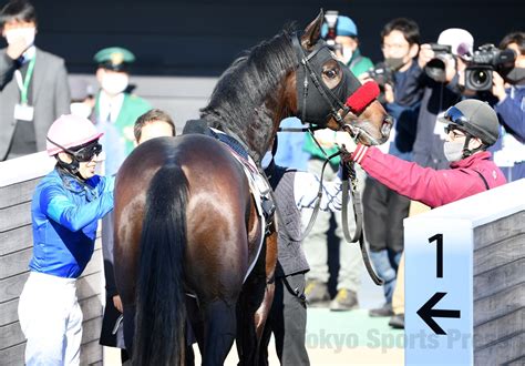 東スポ 写真部 On Twitter 2023年1月9日 競馬 レース 6r メイクデビュー中山 （ 3歳新馬 ） 1着10番