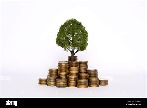 Tree Growing In Savings Coins Money Saving Stock Photo Alamy