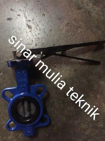 Jual Butterfly Valve 4 Inch Cast Iron Di Lapak Sinar Mulia Teknik Bukalapak