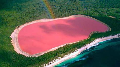 Pink Lakes in Australia and the True Reason behind the Pink Color