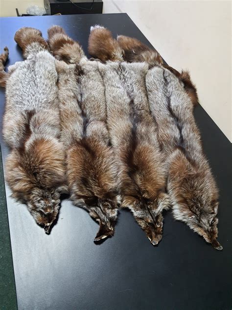 Real Crystal Fox Fur Pelts Crystal Fox Fur Skin Etsy