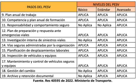 Plan EstratÉgico De Seguridad Vial Pesv DiseÑo ImplementaciÓn Y